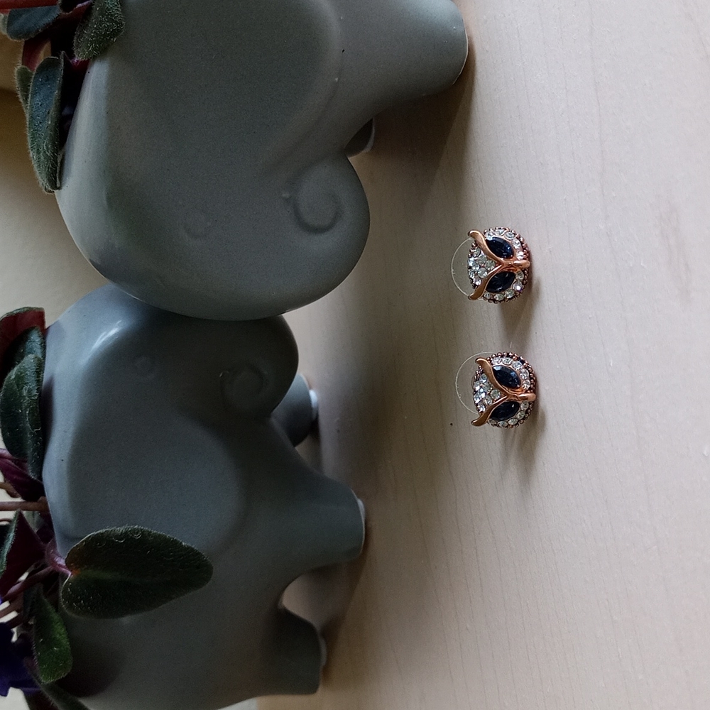 Vintage earrings